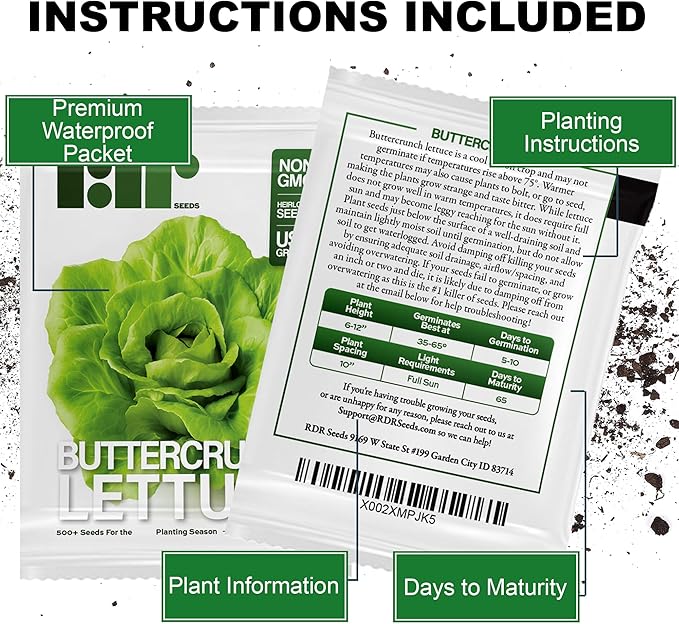 500 Buttercrunch Lettuce Seeds for Planting - Heirloom Non-GMO Vegetable Seeds for Planting - Hydroponics - Microgreens - AKA Butterhead Lettuce, Boston Lettuce, Bibb Lettuce Lactuca Sativa