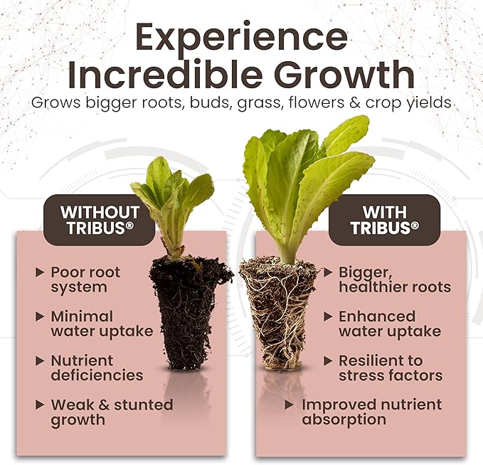 Tribus Organic Microbial Inoculant – Root Booster for Plants, Increases Plant Yield, Root Growth, Flower & Fruit Quality. Bloom Booster. Visible Root Growth in 24Hrs. Liquid Color May Vary. 8.5 oz