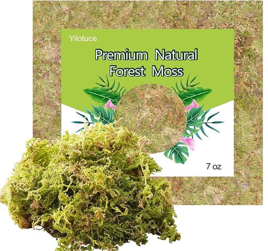 7 oz Natural Orchid Moss for Potted Plants, Nice Soilless Potting Soil for Seedling and Cutting, Good Idea for Reptile Terrarium, Crafts, Garden Decoration