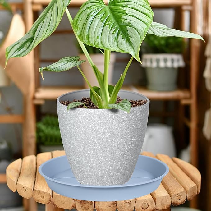 6 Pack of Plant Saucer Tray 11 12 inch, Heavy Duty Plastic Pot Plant Drip Trays Saucers for for Indoors Outdoor, Plant Water Tray for Planters 11-12" (12", Light Gray)