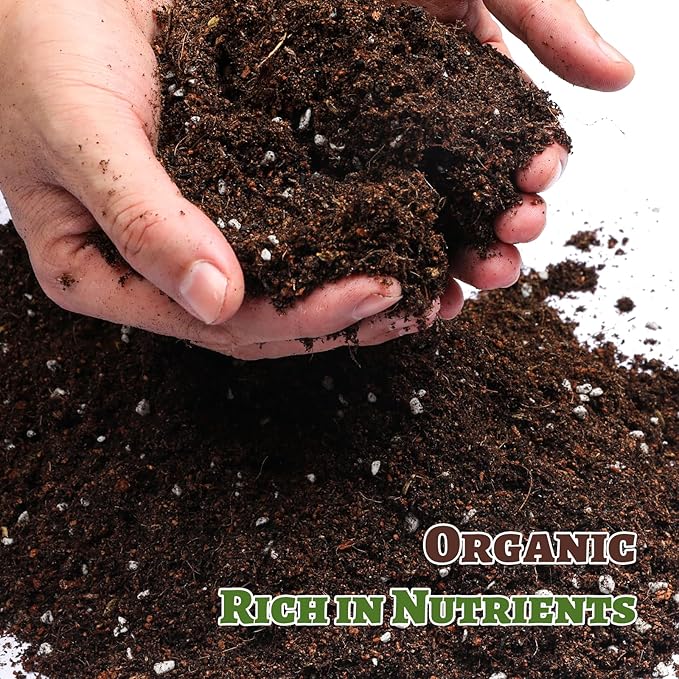Organic Strawberry Soil Mix 1qt, Indoor Plants Potting Mix for All Potted Strawberry, Grow Healthy houseplants Indoors