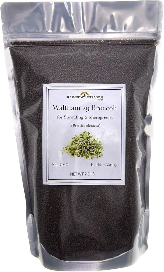 Broccoli Seeds for Sprouting & Microgreens | Waltham 29 Variety | Non GMO & Heirloom Seeds | Bulk 2.5 LB (40 oz) Resealable Bag | Rainbow Heirloom Seed Co.