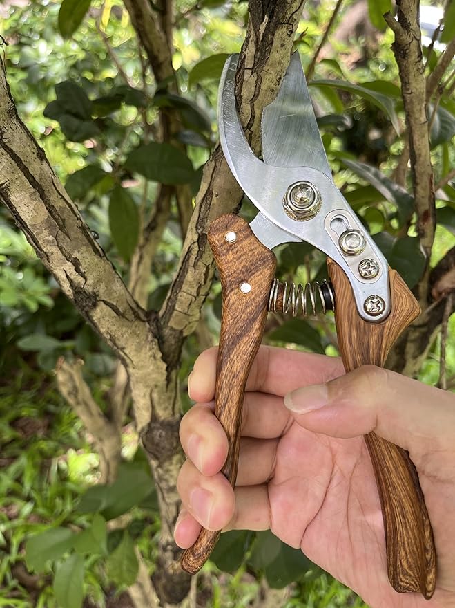Branch Trimmer, Japanese Bonsai Trimming Scissors, Garden Clippers Handheld, Ergonomic Gardening Tools, Floral Shears Gardening Set, Garden Pruners Farming Tools (Wood Silver)