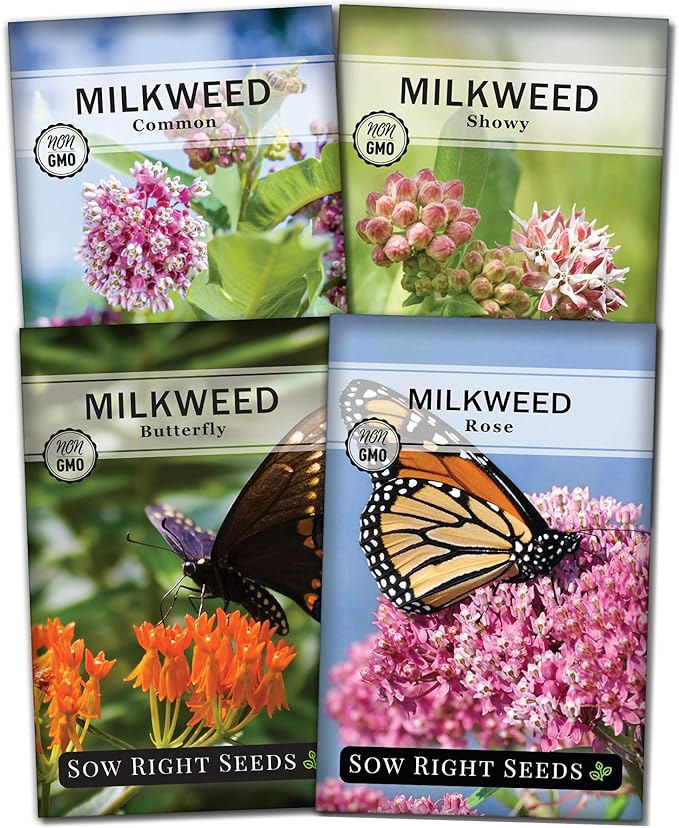 Sow Right Seeds - Milkweed Seed Collection - Varieties Included: Butterfly, Common, Rose and Showy Milkweed, Attracts Monarch and Other Butterflies to Your Garden - Non-GMO Heirloom Packet to Grow