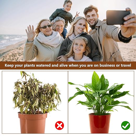 2Pcs Self-Watering Wick System, Stainless Steel Plant Automatic Watering Device with Self Watering Capillary Wick Cord, Passive Lazy Automatic Drip Irrigation for House Plants (S)