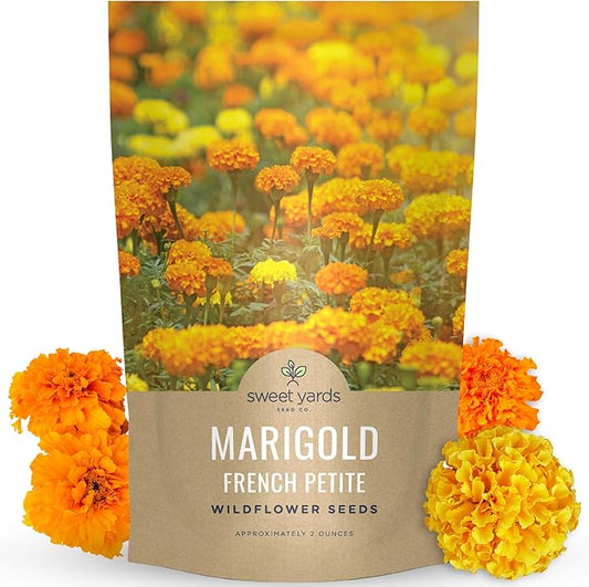 Marigold French Petite - Bulk 2 Ounce Pouch - 15,000 Flower Seeds for Planting - Tagetes patula