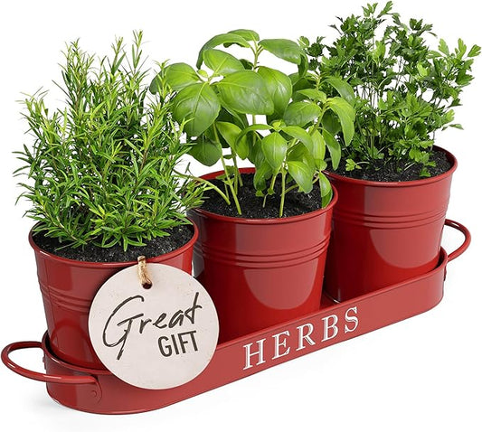 Barnyard Designs Indoor Herb Garden Planter Set with Tray, Metal Windowsill Plant Pots with Drainage for Outdoor or Indoor Plants, Set/3 (Brick Red)