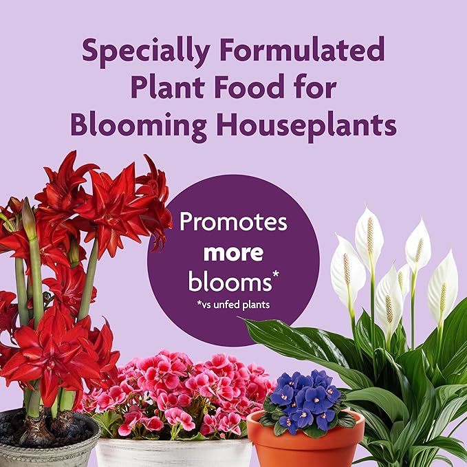 Miracle-Gro Blooming Houseplant Food, 8 oz., Plant Food Feeds All Flowering Houseplants Instantly, Including African Violets