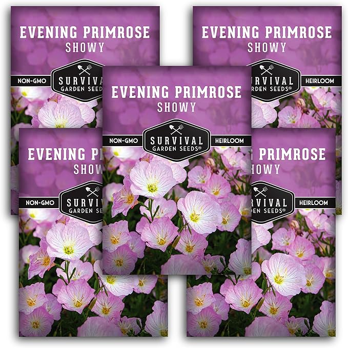Showy Evening Primrose Seed for Planting - 5 Packets with Instructions to Plant and Grow Pinkladies in Your Home Flower Garden - Non-GMO Heirloom Variety - Survival Garden Seeds - Mexican Primrose