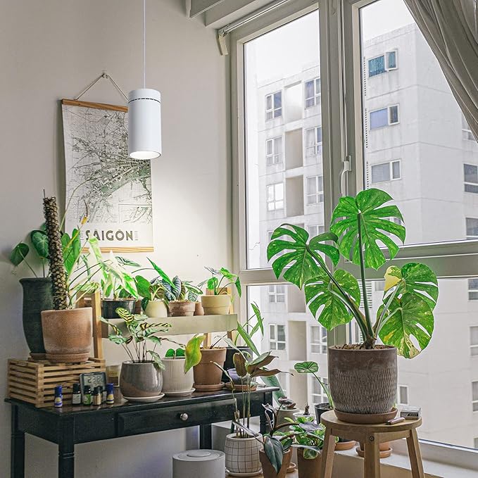 HMVPL Hanging Grow Light for Indoor Plant Full Specturm, Plug in Plant Light with 4000K 40W COB Grow Light Bulb, Small Grow Lamp with Pulley, 4/8/12H Timer for Indoor Seed Plant Flower Output(19ft)