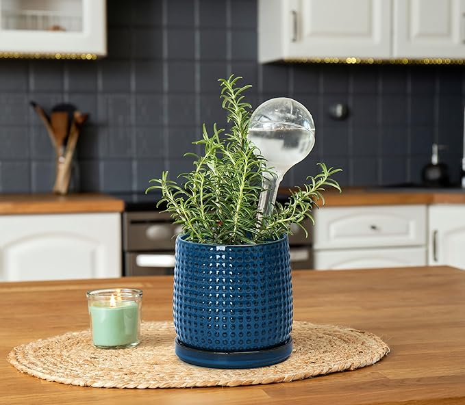 D'vine Dev 6 Inch Ceramic Beaded Stoneware Planter Pot - Flower Pot with Drainage Holes and Saucers for Indoor Succulent Plants or Flowers, Blue, 27-C-X-3