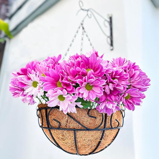 LaLaGreen Hanging Planter for Outdoor Plants (2 Pack, 16 Inch) Hanging Baskets with Coco Liner, Metal Wire Flower Basket Pots with Hook Hanger Balcony Porch Farmhouse Country Style Garden Decor