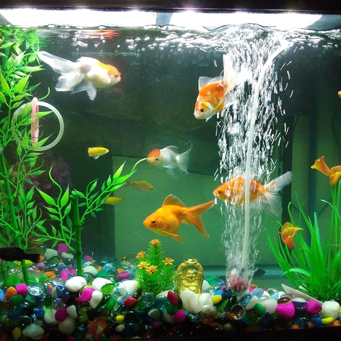 1/2" x 5/8" Clear Plastic PVC Tubing 5ft Flexible Vinyl Tube, [for Garden Irrigation, Water Hose, Fish Tank, Aquarium] - 12.7x15.9mm