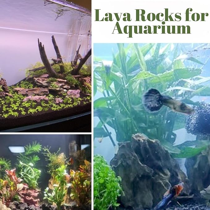 7LB Black Lava Rocks for Plants, Volcanic Rock Horticultural Lava Rock Soil for Landscaping Plants Drainage, Small Lava Rock Gravel for Succulents, Bonsai, Vase Fillers, Top Dressing