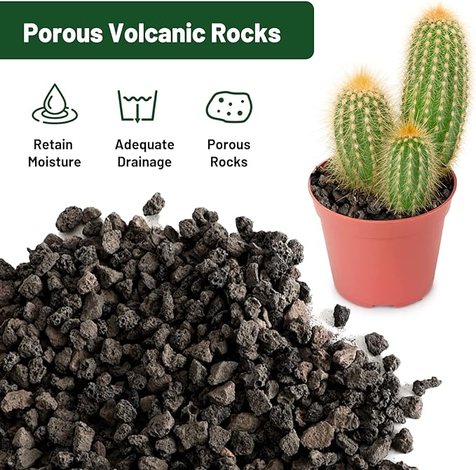 Drainage Rocks for Potted Plants 5LB, Horticultural Lava Rocks for Plants, Succulent Rocks for Pot Indoor, Lava Rock Aquarium Garden Landscaping Volcanic Bonsai Terrarium Fish Tank Decorative Stone