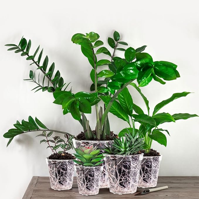 Vesici Large Size Clear Nursery Pots Variety Pack Plant Pots with Drainage Holes Planters for Indoor Plants Flexible Transparent Plastic Plant Bottle Succulents(24 Pcs,4/5/6/7/8/9 Inch)