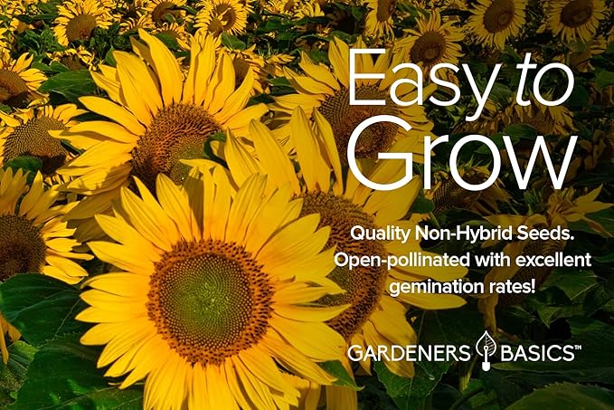 Gardeners Basics, Sunflower Seeds for Planting Flowers (5 Pack Mix) - Velvet Queen, Dwarf Sunspot, Lemon Queen, Giant and Mammoth Bulk Mix of Regular Sunflower Seeds for Outdoor Flower Garden