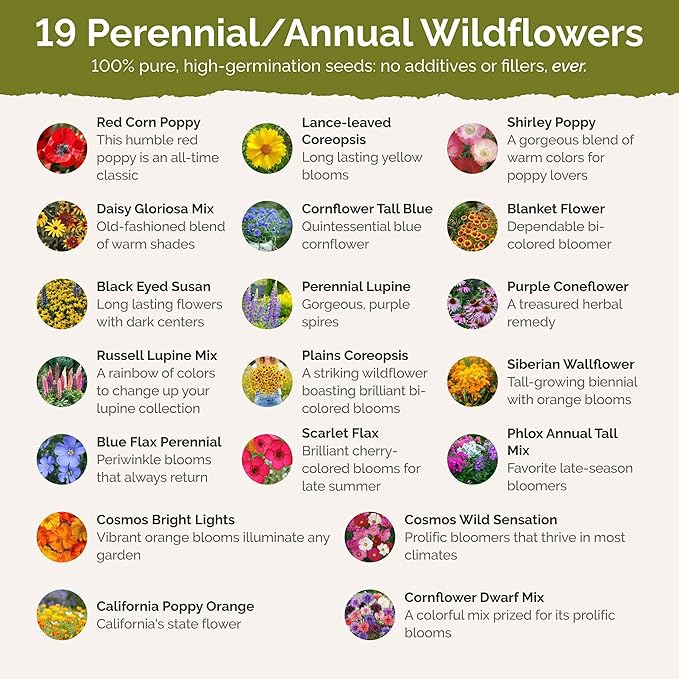 Eden Brothers New York Wildflower Mixed Seeds for Planting, 1 lb, 480,000+ Seeds with Coneflower, Cosmos | Attracts Pollinators, Plant in Spring or Fall, Zones