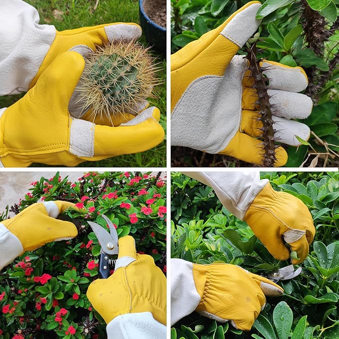 Cactus Gloves, Thorn Proof Gardening Gloves for Rose Pruning & Cacti Handling (Medium (Pack of 1), Yellow-reinforce)