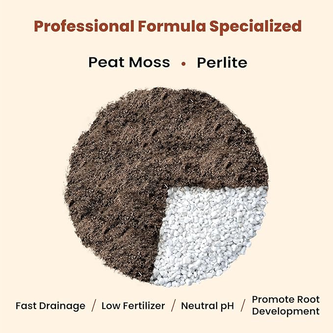 Succulent Cactus Potting Soil Mix (8 qt), All-Purpose Garden Soil for Indoor Outdoor Plants, Quick Drain Houseplant Orchid Bonsai Soil, Ready-to-Use Perlite Soil, Resealable Bag Design