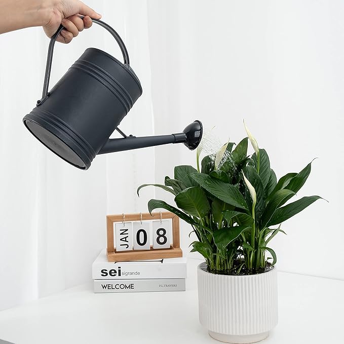 Watering Can for Indoor Plants, Flower Watering Can, Plastic Water Can for Plants, Indoor Watering Can with Sprinkler Head 68 oz, 1/2 Gallons