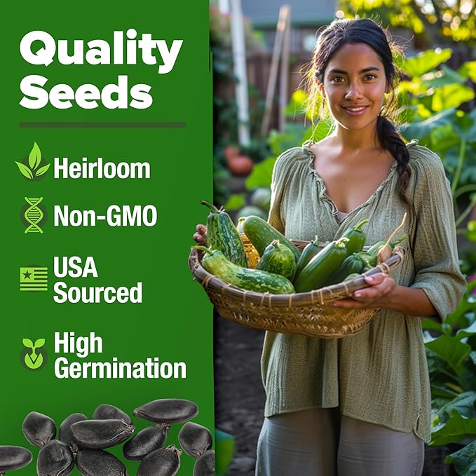 HOME GROWN Luffa Seeds - (Bulk Pack) 40 Non-GMO, Heirloom Loofah Seeds for Planting, USA Sourced, Great for Sponges or Edible Vegetable (Luffa aegyptiaca)