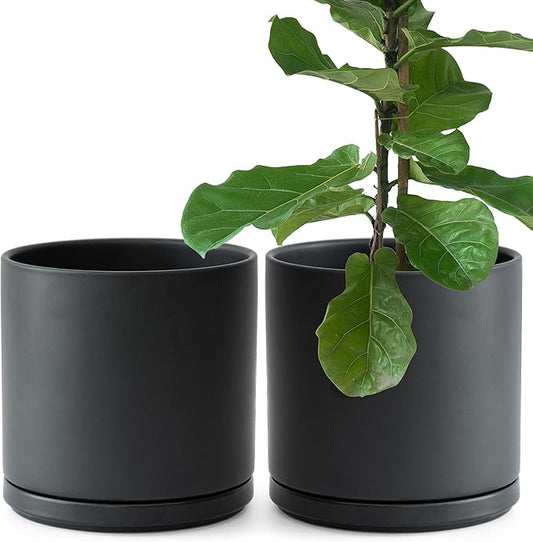 D'vine Dev Set of 2 Plants Pots, 10 Inch Ceramic Planter Pot for Plants with Drainage Hole and Saucer, Black, 94-V-E-2