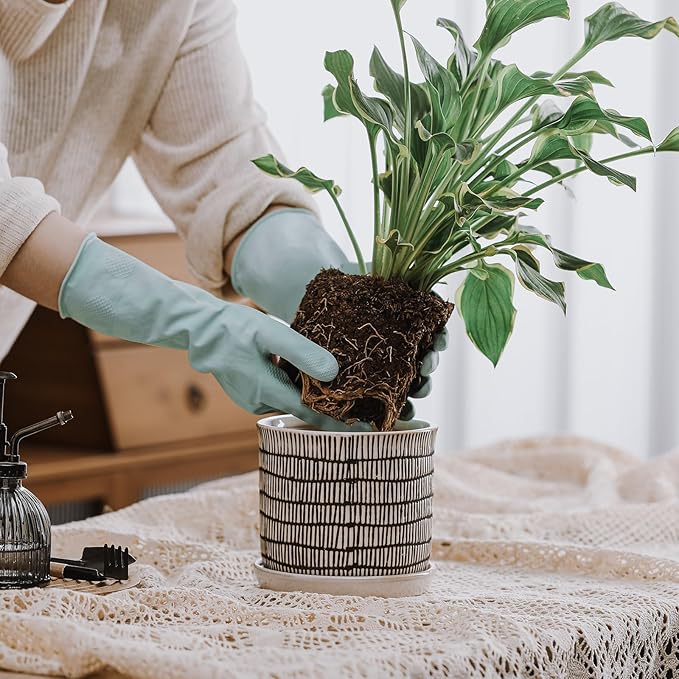 6 Inch Plant Pot: Ceramic Planter with Drainage Hole & Saucer for Indoor Outdoor Plants - Flowerpot with Bonded Tray for Home Office - Mixed Stripe Debossed