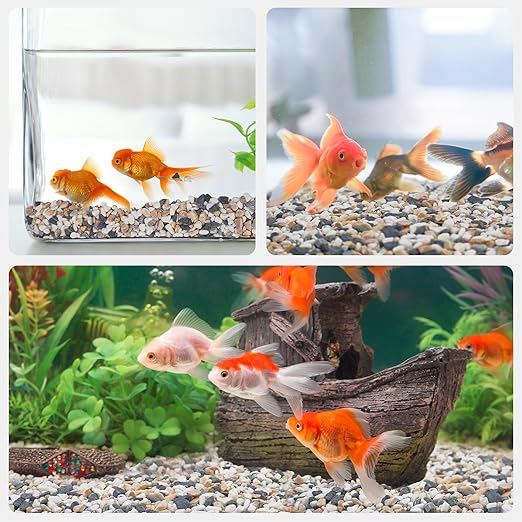 5 lbs Pebbles for Indoor Plants, 1/5 Inch Natural Decorative Gravel for Vases, Aquariums, Terrarium, Fish Tank, Drainage Rocks for Potted Plants, Bamboo, Succulent, Crafts, Cactus