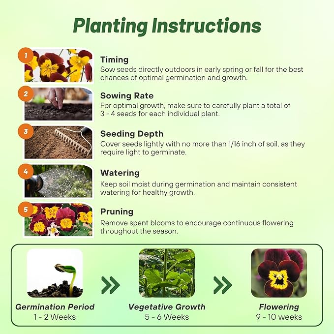 Outsidepride 2000 Seeds Perennial Viola Bambini Flower Seed Mix for Planting