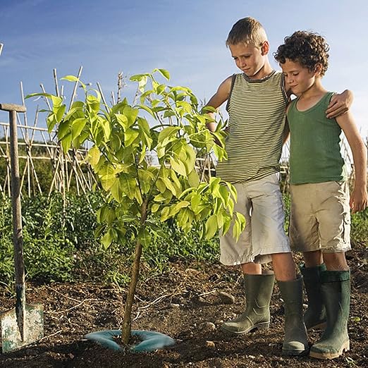 2 PCS Tree Watering Ring - 21 inch Tree Watering Bag. Basic Water Saving Slow Release Root Water System for Tree Drip Irrigation, Slow Release for up to 30 Days.