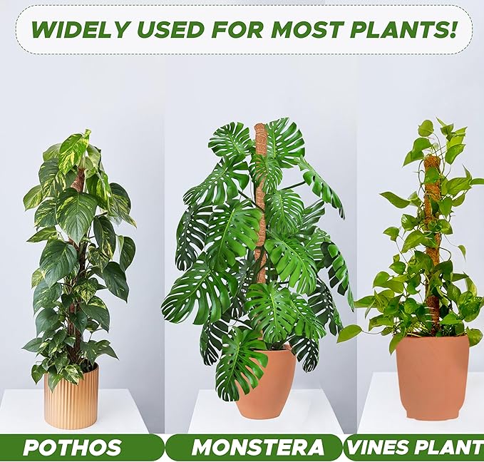 EcoNour Moss Pole for Plants – 48 inches | Monstera Plant Support for Plant Climbing and Growth | Elevate Your Indoor Garden, Plant Support for Indoor Potted Plants to Grow Upwards