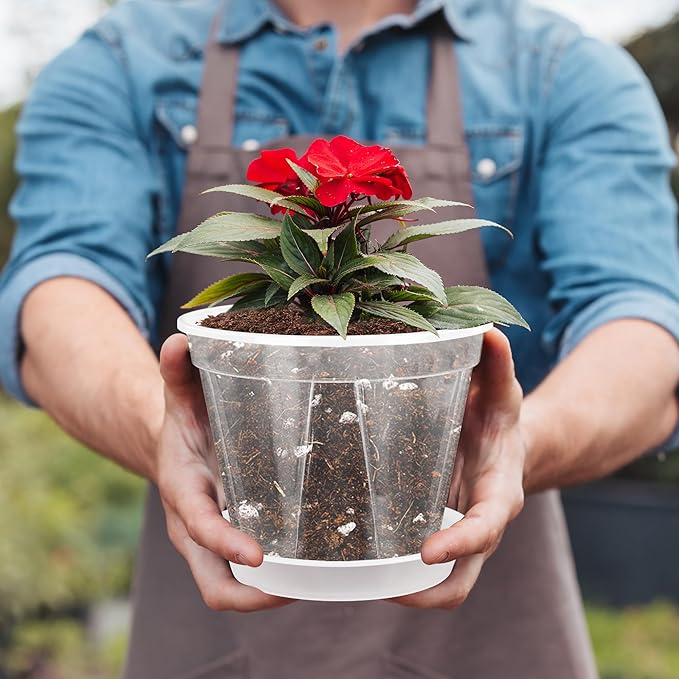 12pcs 3.9/4.7/5.9 Inch Clear Nursery Pots with Saucer, Transparent Plastic Plant Pots with Drainage Hole for House Plants, Flower, Succulent and Outdoor Clearance (20pcs Plant Labels)