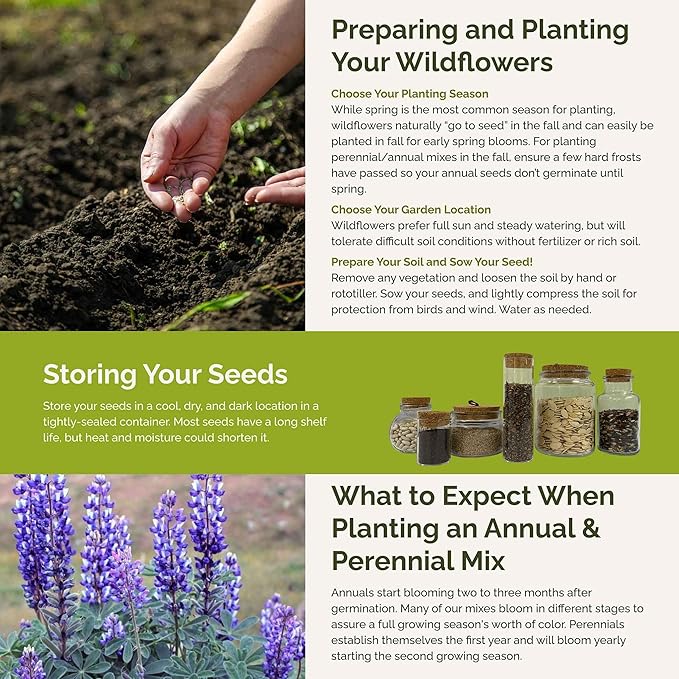Eden Brothers North American Native Wildflower Mixed Seeds for Planting, 1/4 lb, 120,000+ Seeds with Birds Eyes, Lupine | Attracts Pollinators, Plant in Spring or Fall, Zones 3, 4, 5, 6, 7, 8, 9, 10