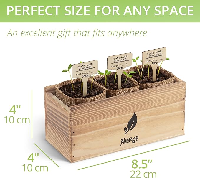 Marigold Seeds Flower Growing Kit – Complete Indoor & Outdoor Kit with Marigold Seeds, Planter, Soil, Tools, Instructions – Ideal for Planting Marigold Flowers at Home or Garden