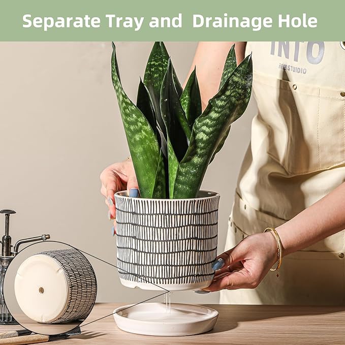 6 Inch Plant Pot: Ceramic Planter with Drainage Hole & Saucer - Cylinder Flowerpot for Indoor & Outdoor Plants - with Separate Tray for Home & Office - Striped Design