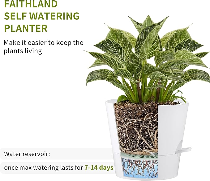 FaithLand 2-Pack 9 Inch Planter Pots for Indoor Outdoor Plants, Self Watering Flower Pots with Deep Reservoir, White …