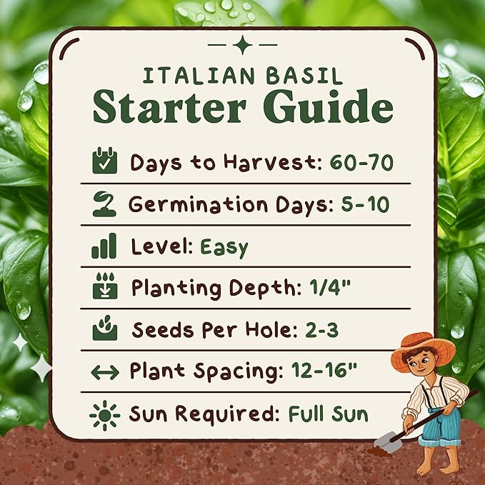 Organic Basil Herb Seeds for Indoor Gardening or Planting Outdoors, Non-GMO and USDA Certified Herb Seed Packets, 250 Seeds/1 gram (Genovese Basil)