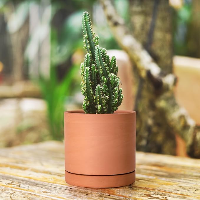 D'vine Dev X-Small 4 Inch Terracotta Plant Pot with Drainage Hole and Saucer, Round Cylinder Planter Pot for Indoor Plants, Set of 2, 40-X-B-1