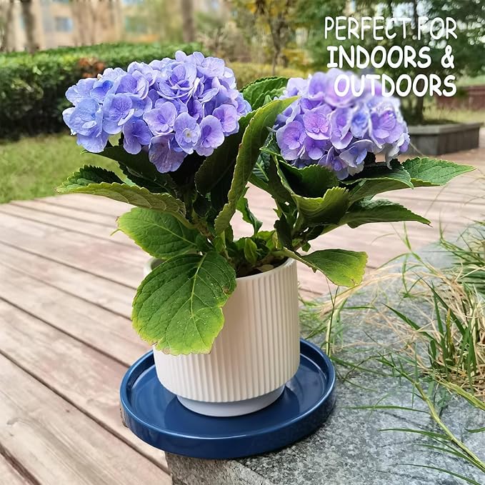 Ceramic Plant Saucer 7 Inch, 2 Pack Round Plant Trays for Indoors/Outdoors, Flower Pot Saucers for Holding Water Drips and Soil, Ceramic Drainage Tray for Plant Pot (Blue)