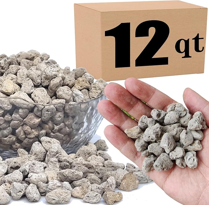 Horticultural Pumice for Plants Professional Sifted (12QT, 1/2 inch)