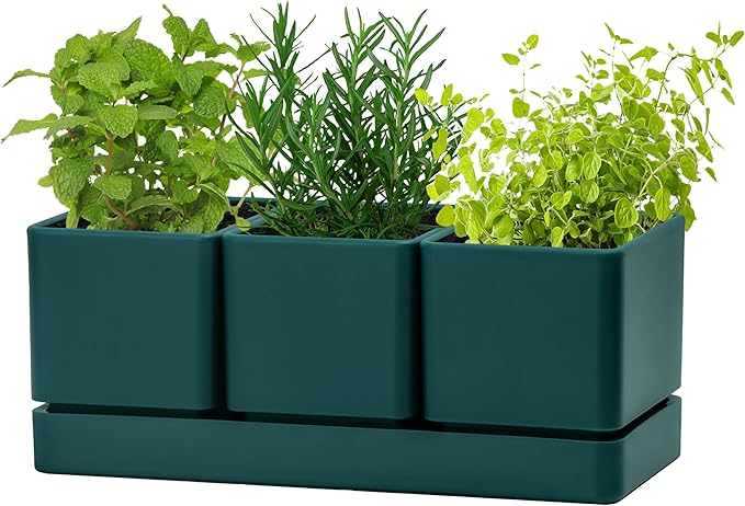 D'vine Dev Herb Garden Planter Set, Plastic Plant Pots with Drainage and Saucer, Indoor Succulent Cactus Vegetable Pot for Windowsill, Garden Balcony, Green, Set of 2, 76-V-C-2