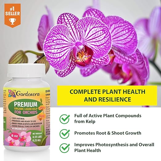 Orchid Health Boost - 16 oz - Concentrated Kelp & Seaweed Extract for Strong and Resilient Orchids