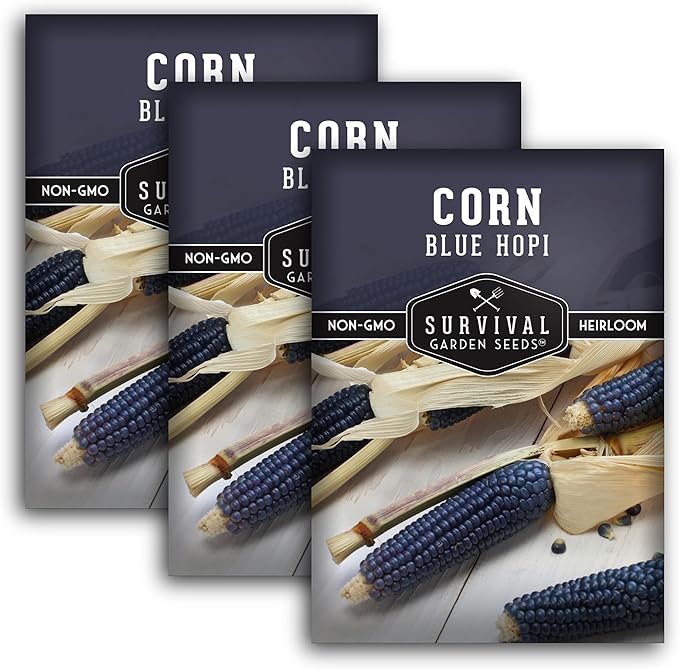 Blue Hopi Corn Seeds for Planting - 3 Packets with Instructions to Plant and Grow Heritage Blue Maize in Your Home Vegetable Garden - Non-GMO Heirloom Variety - Survival Garden Seeds