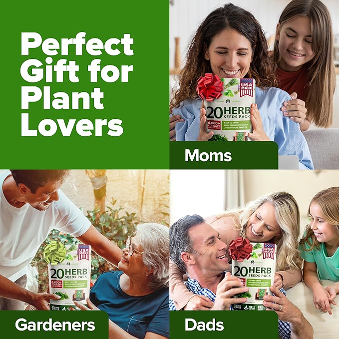 HOME GROWN 20 Culinary Herb Seed Vault - Heirloom and Non GMO - Seeds for Planting for Indoor or Outdoor Herbs Garden, Basil, Cilantro, Parsley, Chives, Lavender, Dill, Marjoram, Mint, Rosemary, Thyme