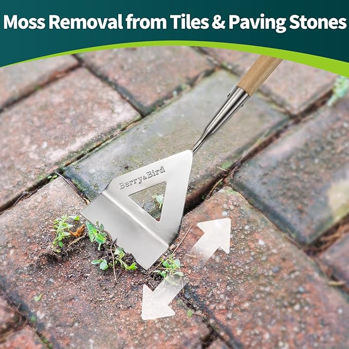 Berry&Bird Dutch Hoe for Weeding，63'' Stainless Steel Garden Weed Hoe with Long Wooden Handle,Heavy Duty Scuffle Hoe Manual Weeder Tool for Gardening Moss Removal Cutting Grass Soil Loosening & Edging