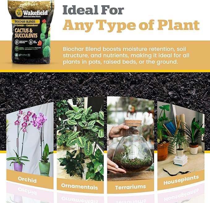 Blend for Cactus & Succulent – Premium Organic Cactus Soil with CarbonBoost Technology for Enhanced Growth – Specialized Soil Mix for Succulents Indoor Plants – 4 Quarts
