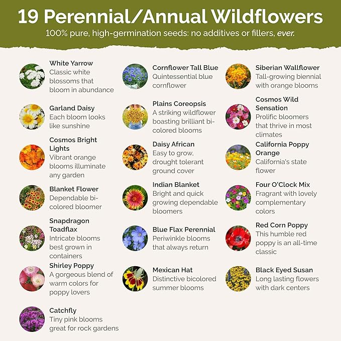 Eden Brothers New Mexico Wildflower Mixed Seeds for Planting, 1 lb, 480,000+ Seeds with Yarrow, Coreopsis | Attracts Pollinators, Plant in Spring or Fall, Zones