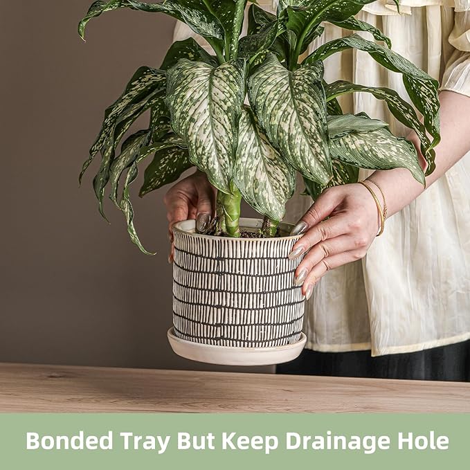 6 Inch Plant Pot: Ceramic Planter with Drainage Hole & Saucer for Indoor Outdoor Plants - Flowerpot with Bonded Tray for Home Office - Mixed Stripe Debossed
