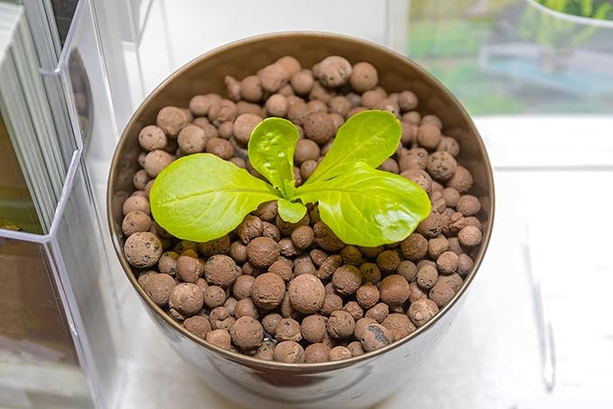 D'vine Dev Ceramic Planter Filler Balls 12qt, Expanded Porous Clay Pebbles Beads for Hydroponic, Gardening, Orchids, 97-F-3